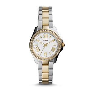 Fossil AM4579