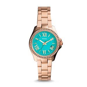 Fossil AM4584