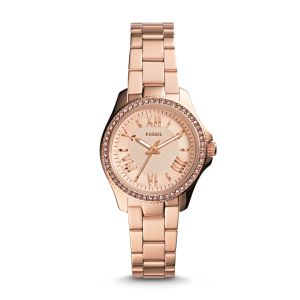 Fossil AM4578