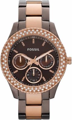 FOSSIL ES2955