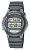 Casio LW-22H-1A