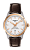 TISSOT PR 100 T101.251.26.036.00