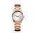 CALVIN KLEIN city K2G23646