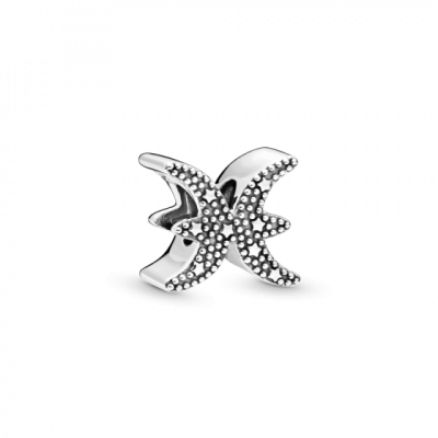 PANDORA 798426C01 шарм