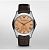 Emporio Armani AR1704