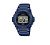 Casio W-219H-2A