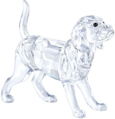 Swarovski Бигль 5135917
