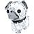 Swarovski Щенок – мопс Roxy 5063333
