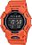 Casio GD-010-4